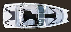 Power Ski Boat Rental
