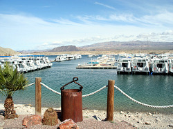 Cottonwood Cove Marina